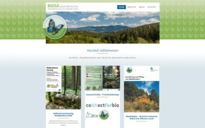 Mit nachhaltiger Waldbewirtschaftung Artenvielfalt fördern