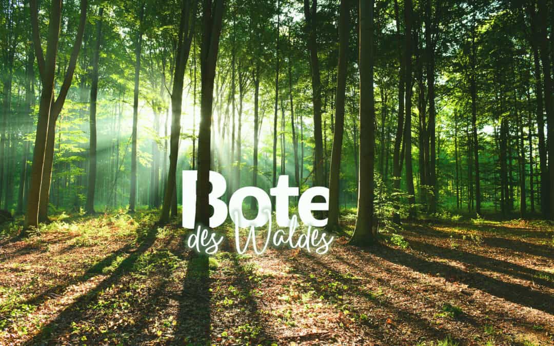 Botschafter des Waldes
