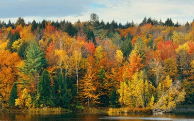 UN Biodiversity Conference in China