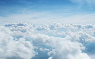 waldgeschichten-nachhaltige-wald-bewirtschaftung-himmel-wolken-sonnenschein