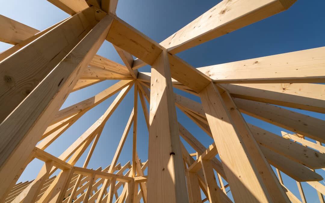 Woher kommt eigentlich das Holz?