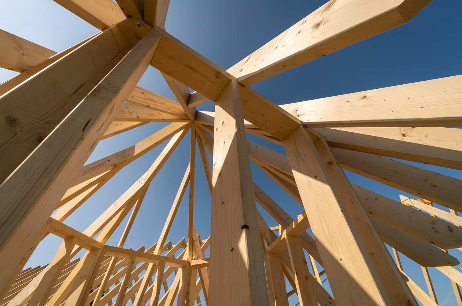 waldgeschichten-woher-kommt-holz-holzdachstuhl