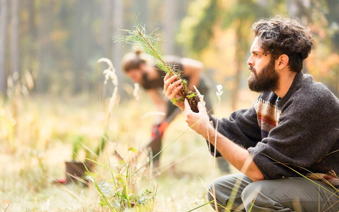 Wald und Beruf – Mit dem Wald arbeiten