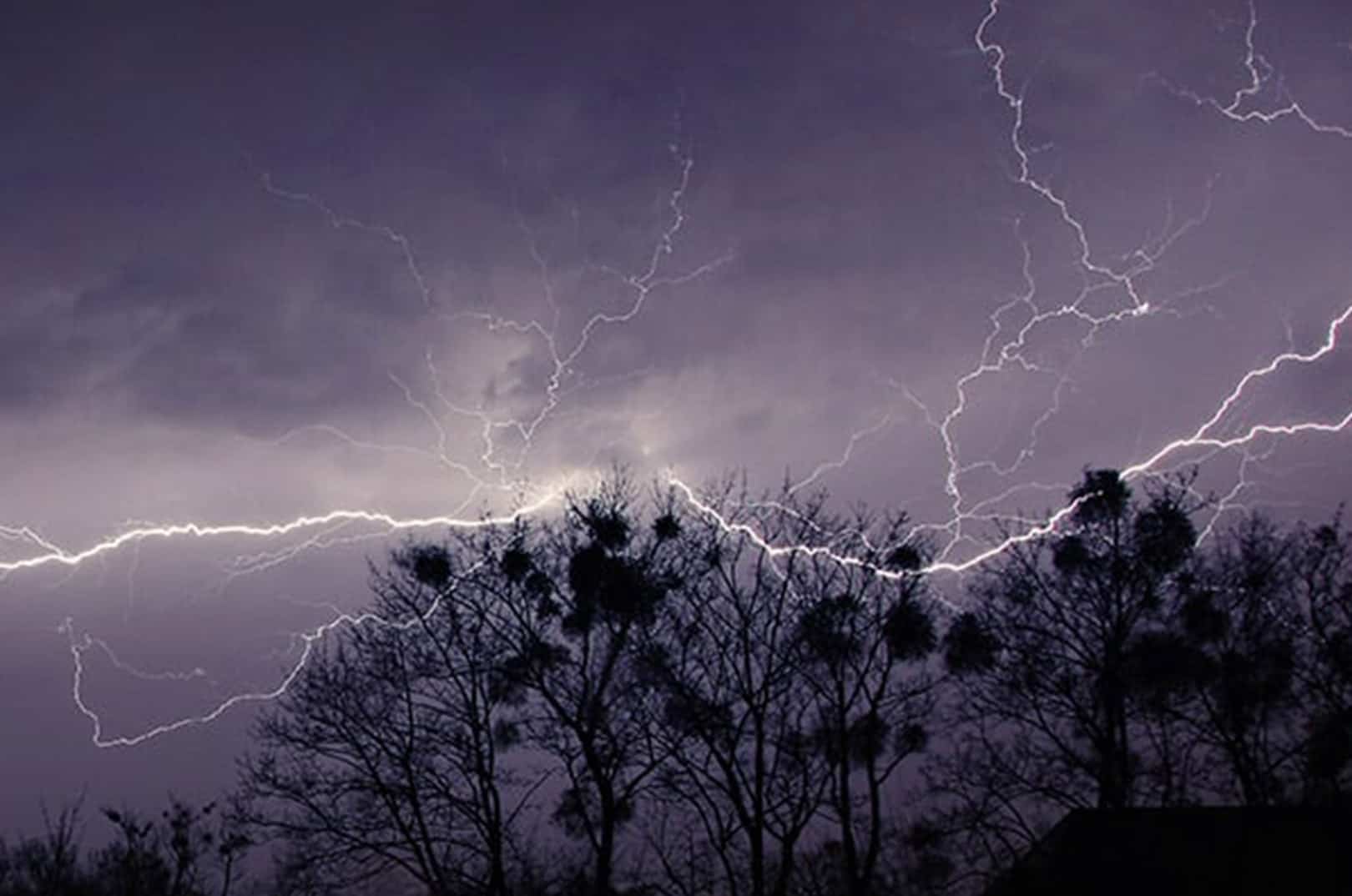 waldgeschichten-pilzesammeln-tipps