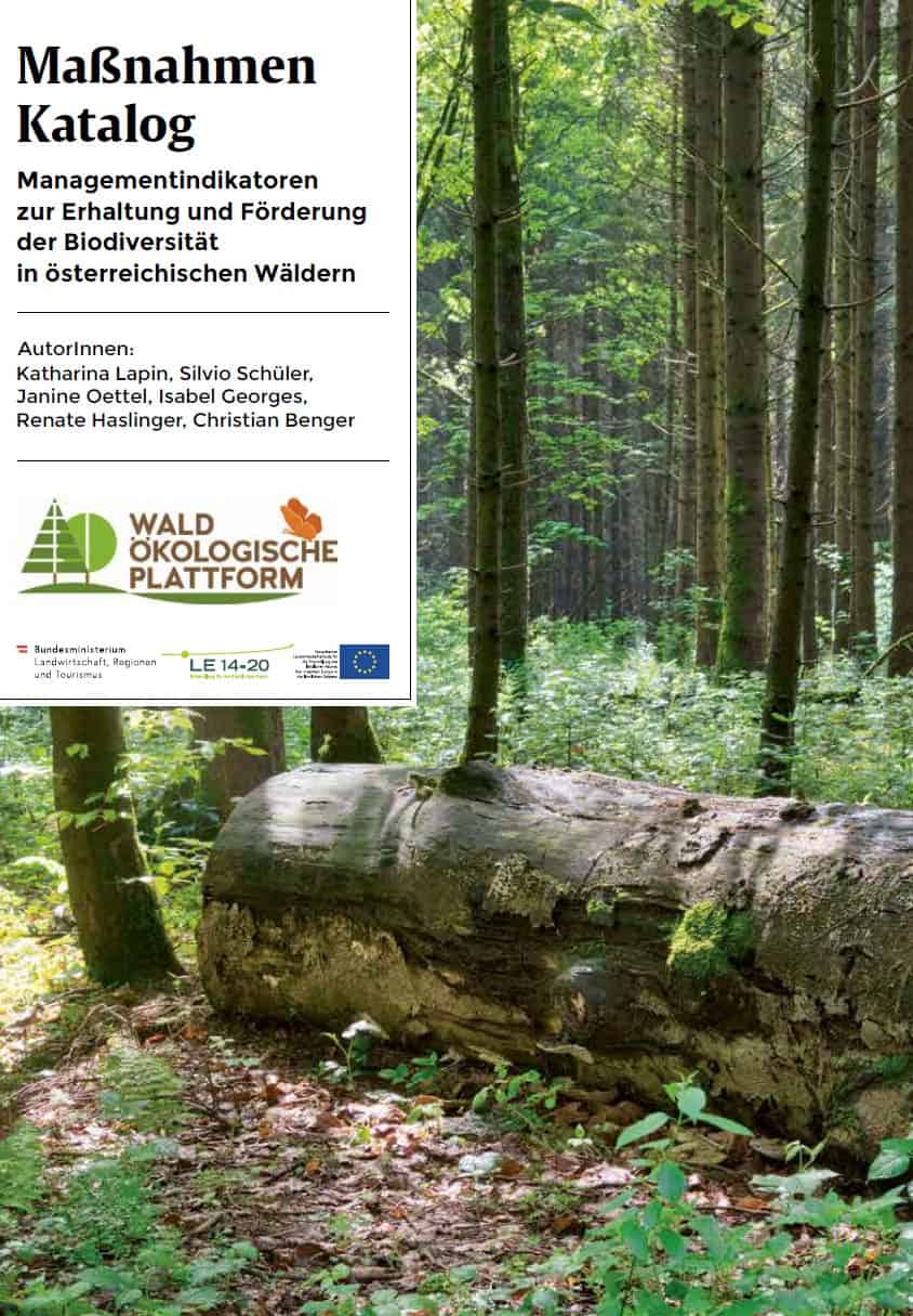 cover_massnahmenkatalog_biodiverstaet_titelbild_waldoekologische_plattform_ohnerand