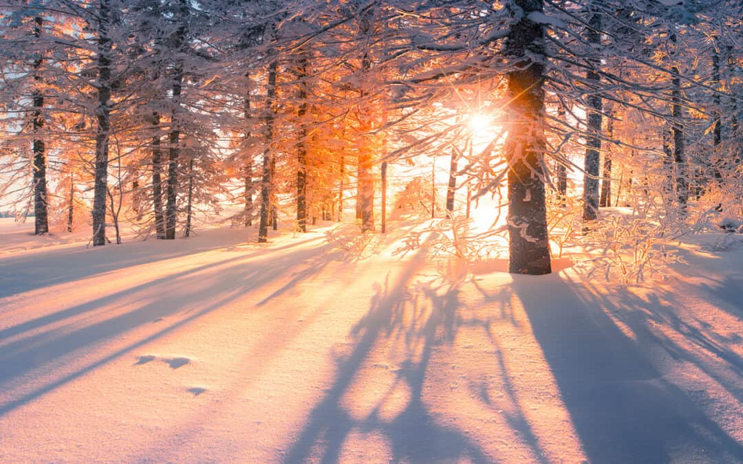 Die besten Wünsche für das neue Jahr!