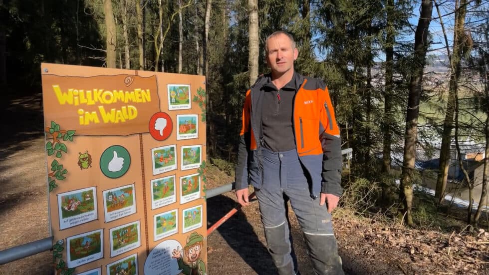 waldgeschichten-wald-video-wald-app-wald-regeln