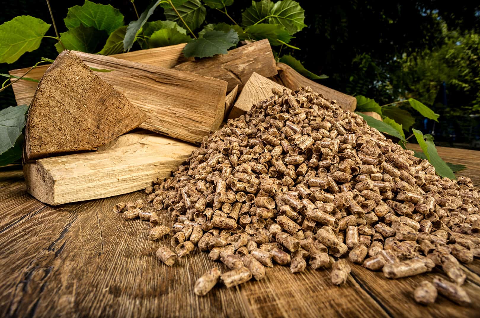 waldgeschichten-c-adobe-stock-169124387-dinostock waldgeschichten-erneuerbare-energie-holz-versorgunssicherheit-energie-holzverwendung-bioenergie