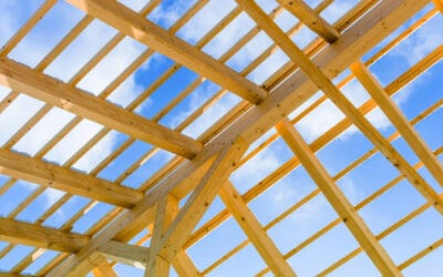 Neuer Fachbeitrag online: Klimastabilisierung braucht negative Emissionen