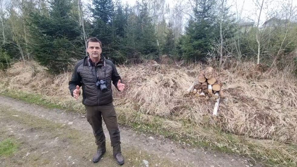waldgeschichten-video-wald-app-michael-erklaert-forststrassen-als-lebensraum-im-wald