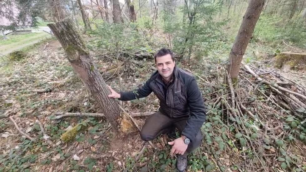 waldgeschichten-video-wald-app-totholz-im-wald-freut-michael