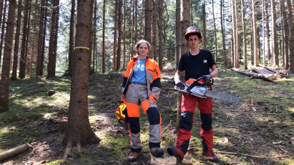 waldgeschichten-video-wald-app-zukunftsbaeume-erklaert