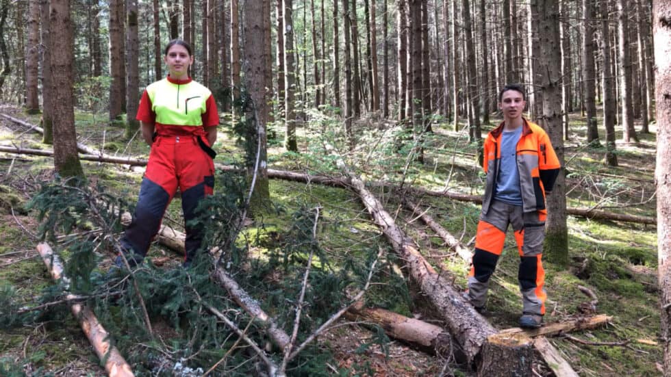 waldgeschichten-video-wald-app-waldhygiene-erklaert-von-forstschuelern