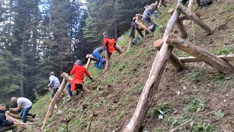 waldgeschichten-video-app-wald-guenter-errichtet-einen-neuen-schutzwald-in-vorarlberg-video