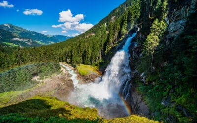 Kennen sie die 4 Funktionen des Waldes?