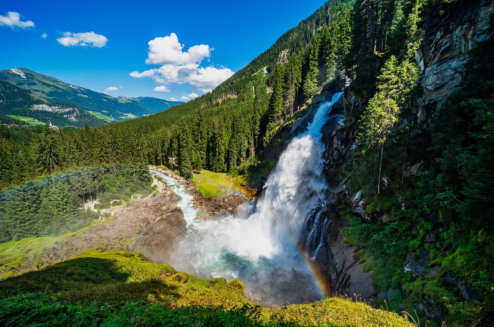 waldgeschichten-pilzesammeln-tipps