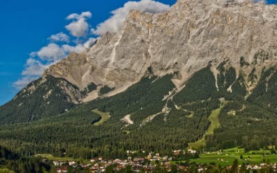 Woche des Waldes 2022: “Der Wald sichert unsere Regionen”