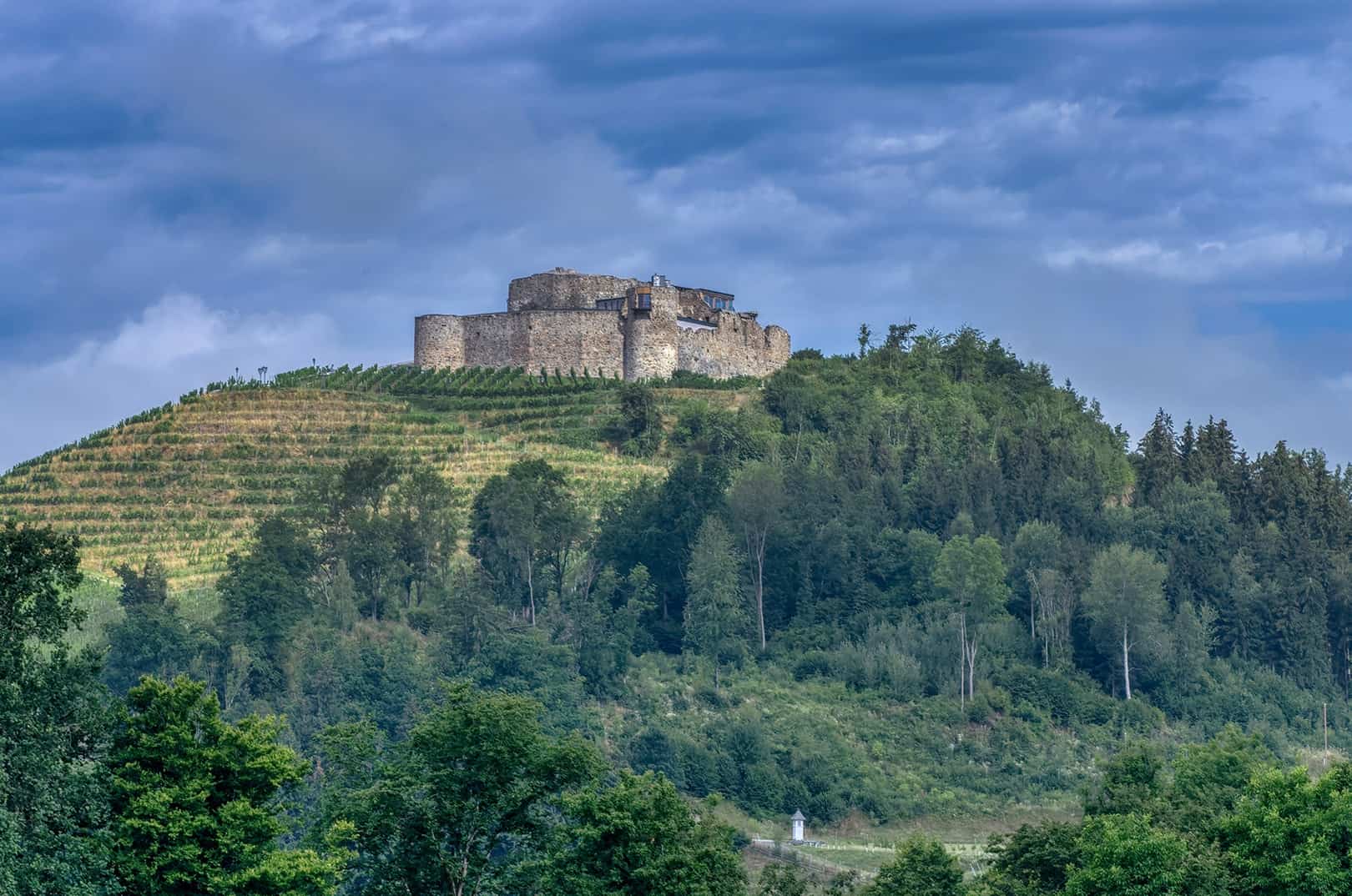 waldgeschichten-oesterreichische-forsttagung-2022-burg-taggenbrunn