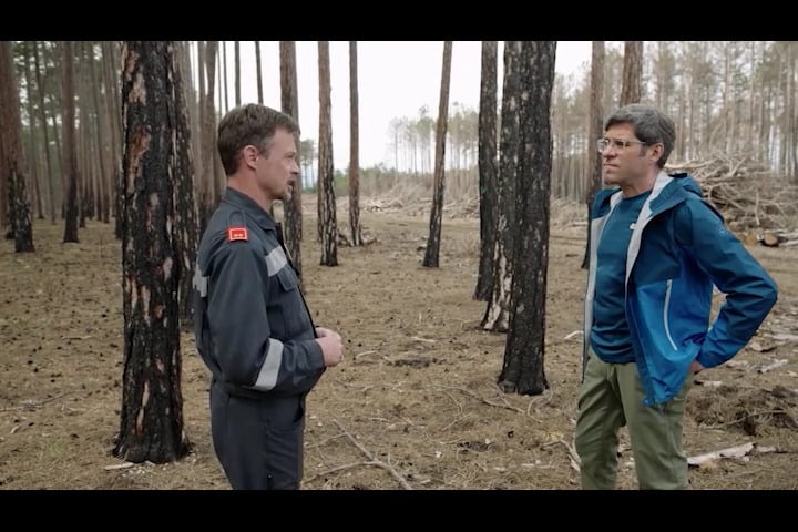 waldgeschichten-pilzesammeln-tipps