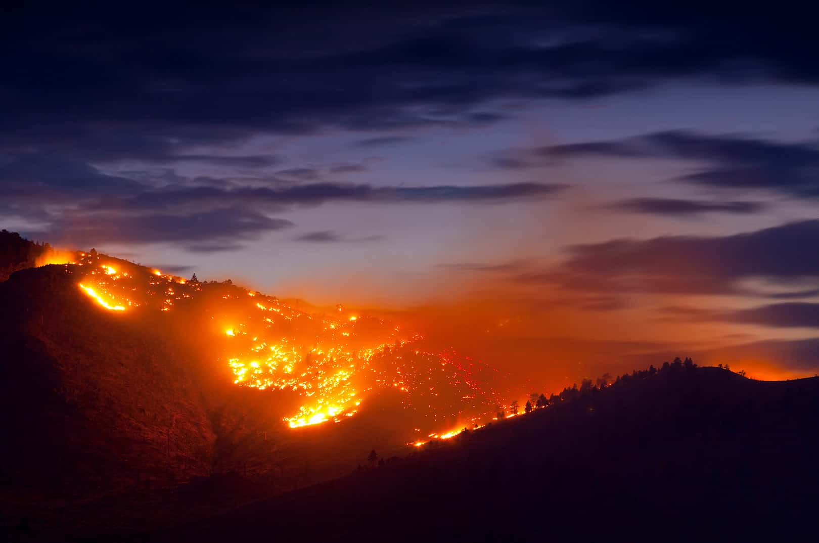 waldgeschichten-c-adobe-stock-131614138-neillockhart waldgeschichten-feuer-im-wald-gefahr-waldbrand