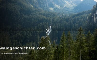 waldgeschichten.com jetzt kennenlernen