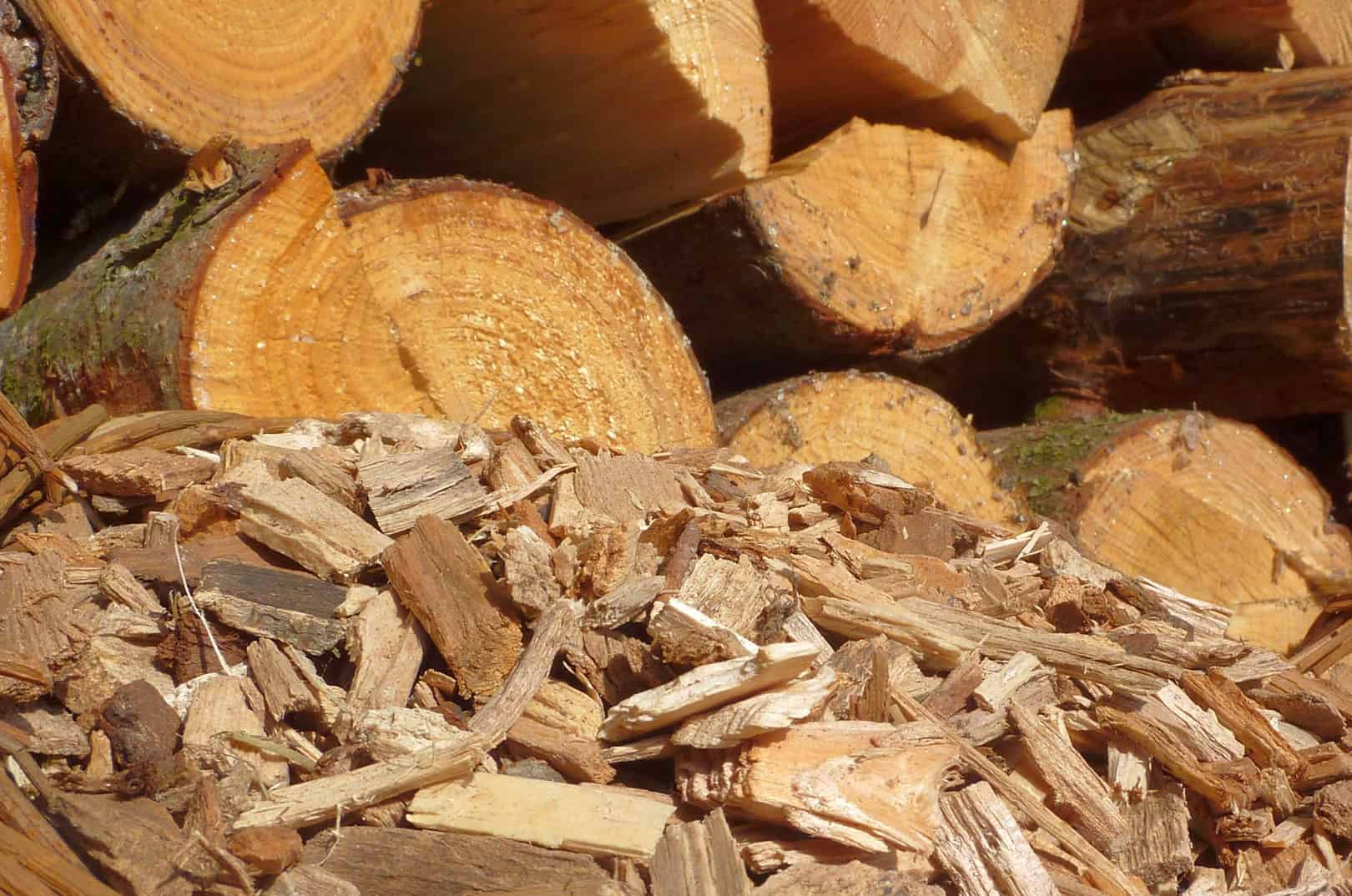 waldgeschichten-c-adobe-stock-40247701-goldbany waldgeschichten-bioenergie-holzpallets-klimaziele