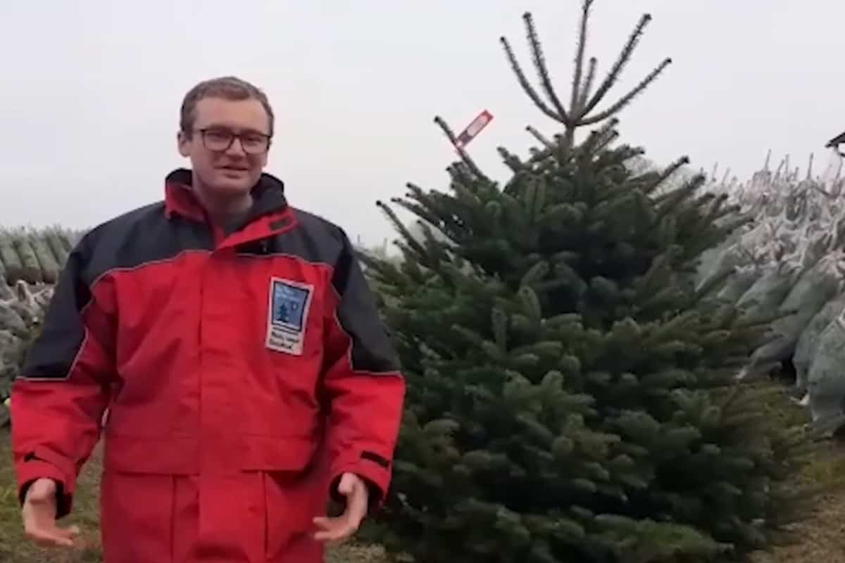 waldgeschichten-pilzesammeln-tipps