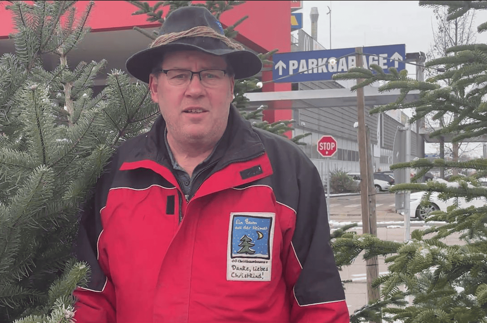 waldgeschichten-pilzesammeln-tipps