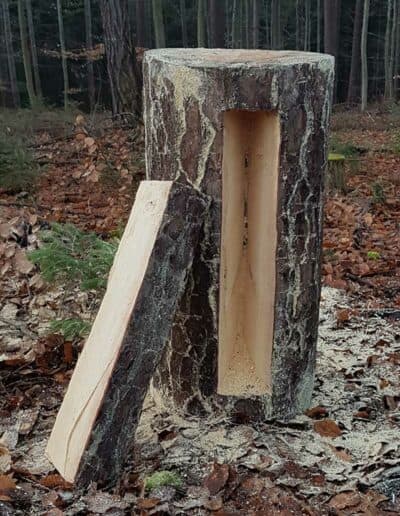 waldgeschichten-kiefer-brotbaum-zeidler-handwerk-klotzbeute-mit-brutraumoeffnung