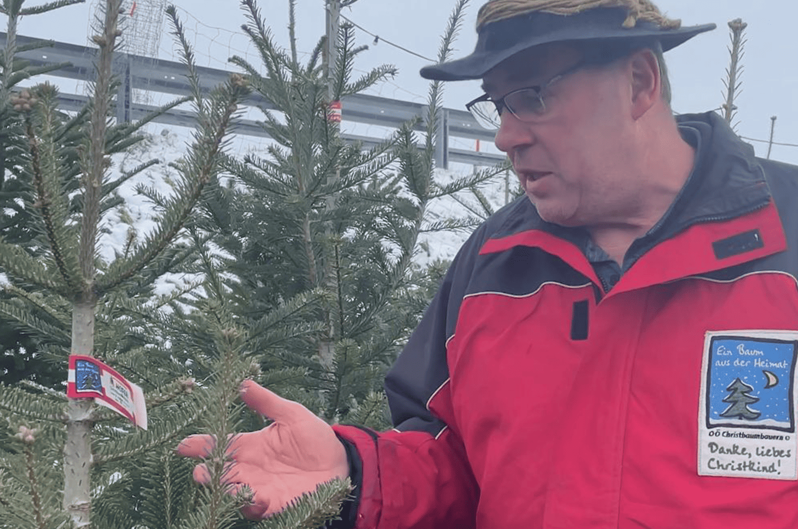 waldgeschichten-pilzesammeln-tipps