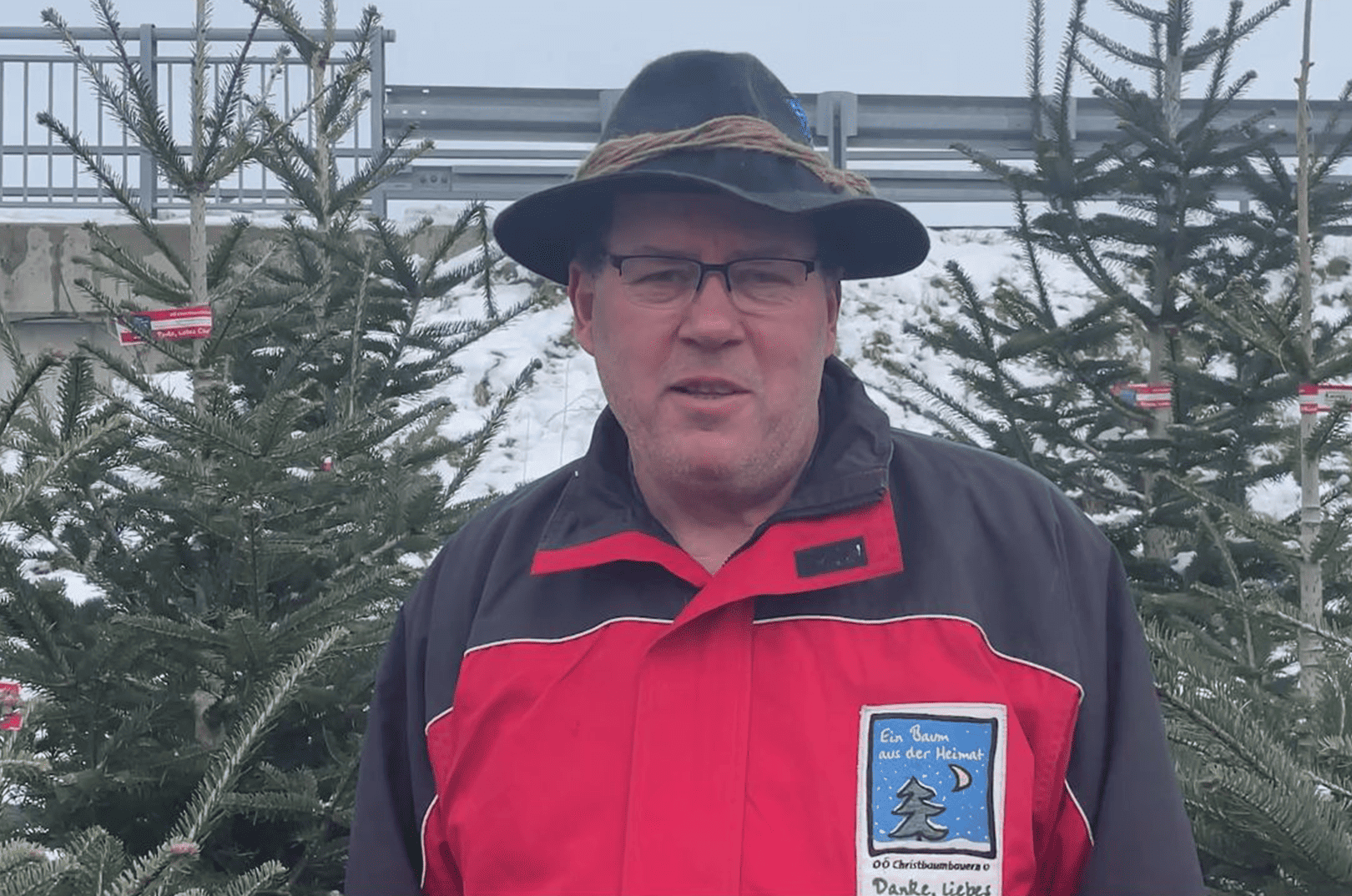 waldgeschichten-pilzesammeln-tipps