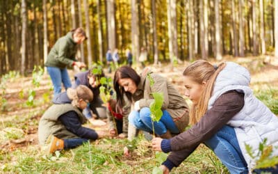 Klimawandel: Wie bleiben unsere Wälder funktional?