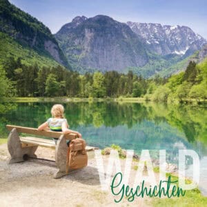 Waldgeschichten-Ausflugstipps-in-Oesterreich