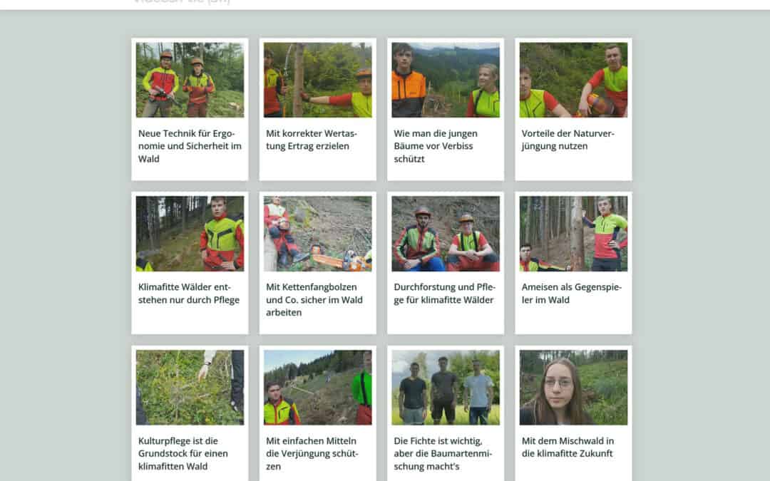 Über 300 Waldgeschichten-Videos online!