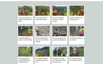 Über 300 Waldgeschichten-Videos online!