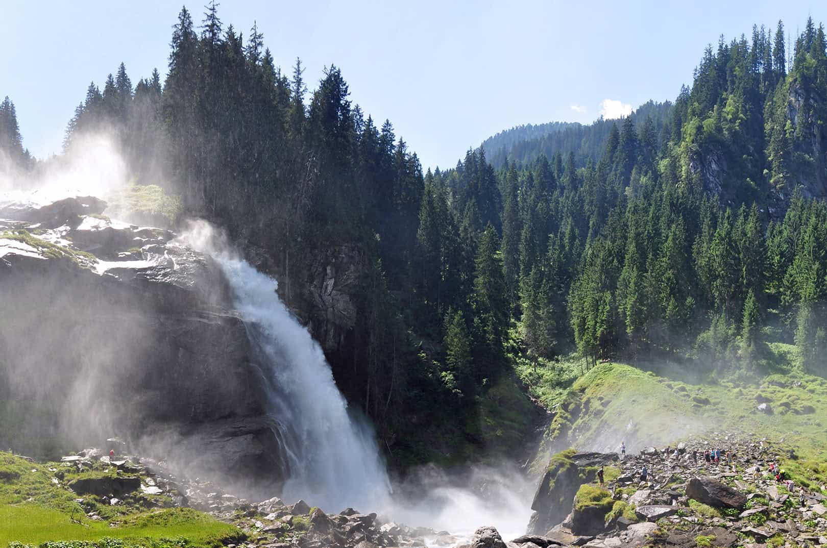 waldgeschichten-pilzesammeln-tipps