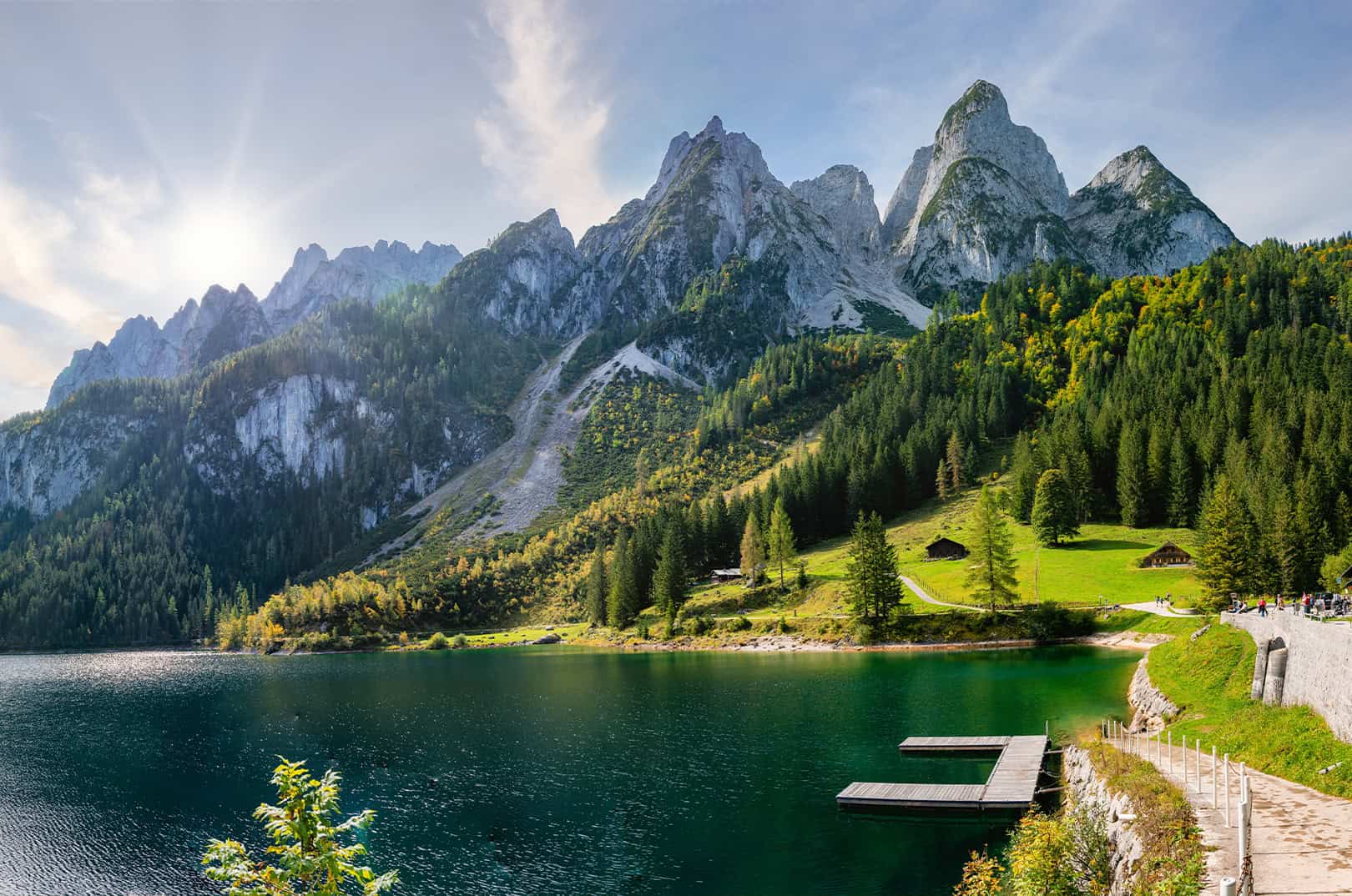 waldgeschichten-pilzesammeln-tipps