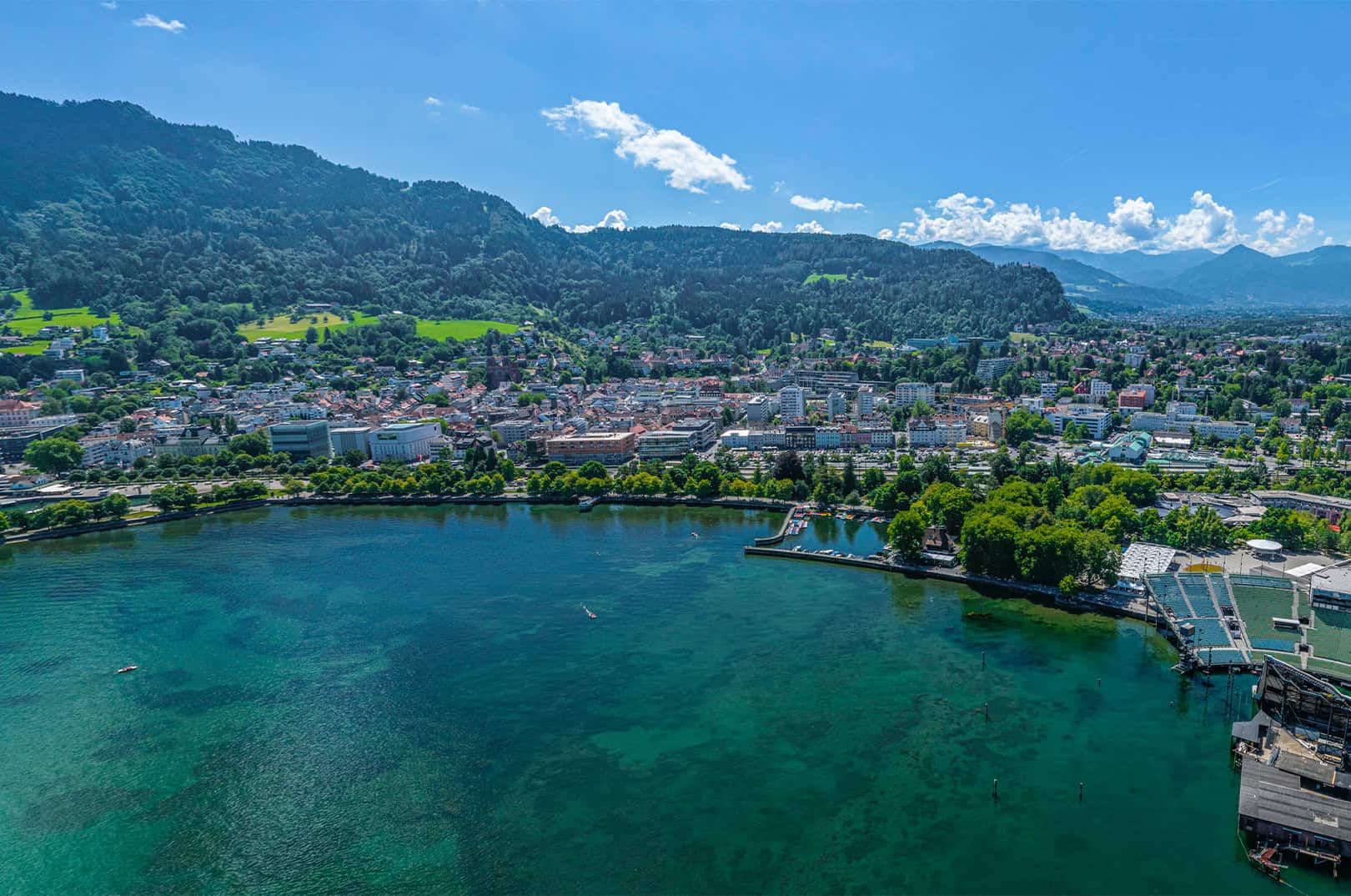 waldgeschichten-pilzesammeln-tipps