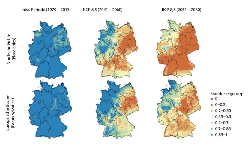 Leitartikel_Grafik Waldgeschichten-Waldbrand-Statistik_2