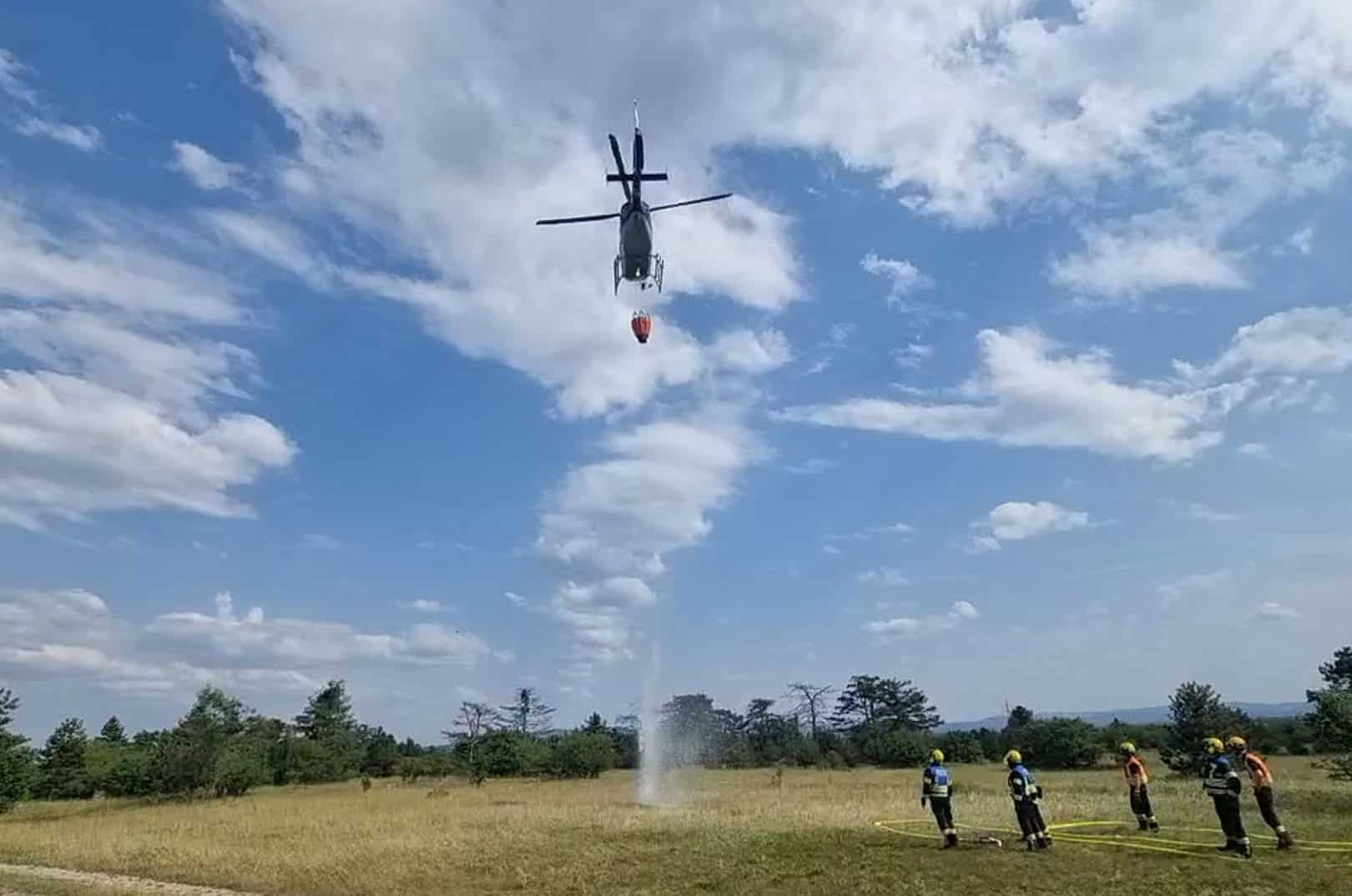 waldgeschichten-pilzesammeln-tipps