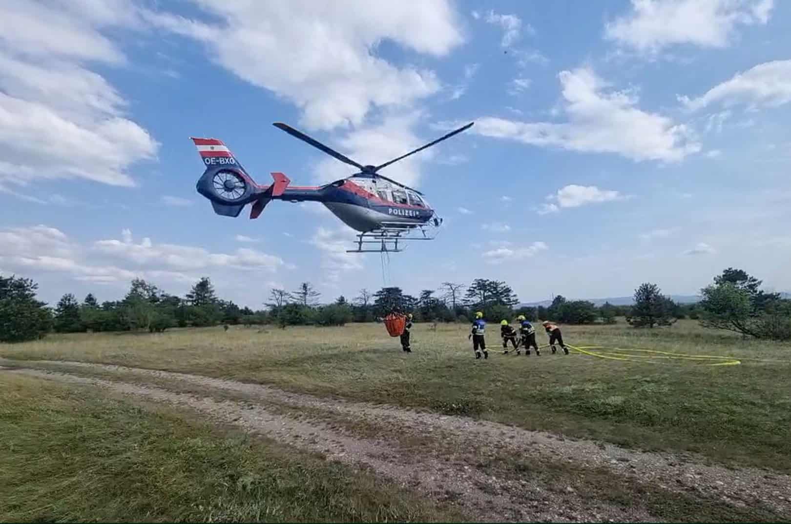 waldgeschichten-pilzesammeln-tipps