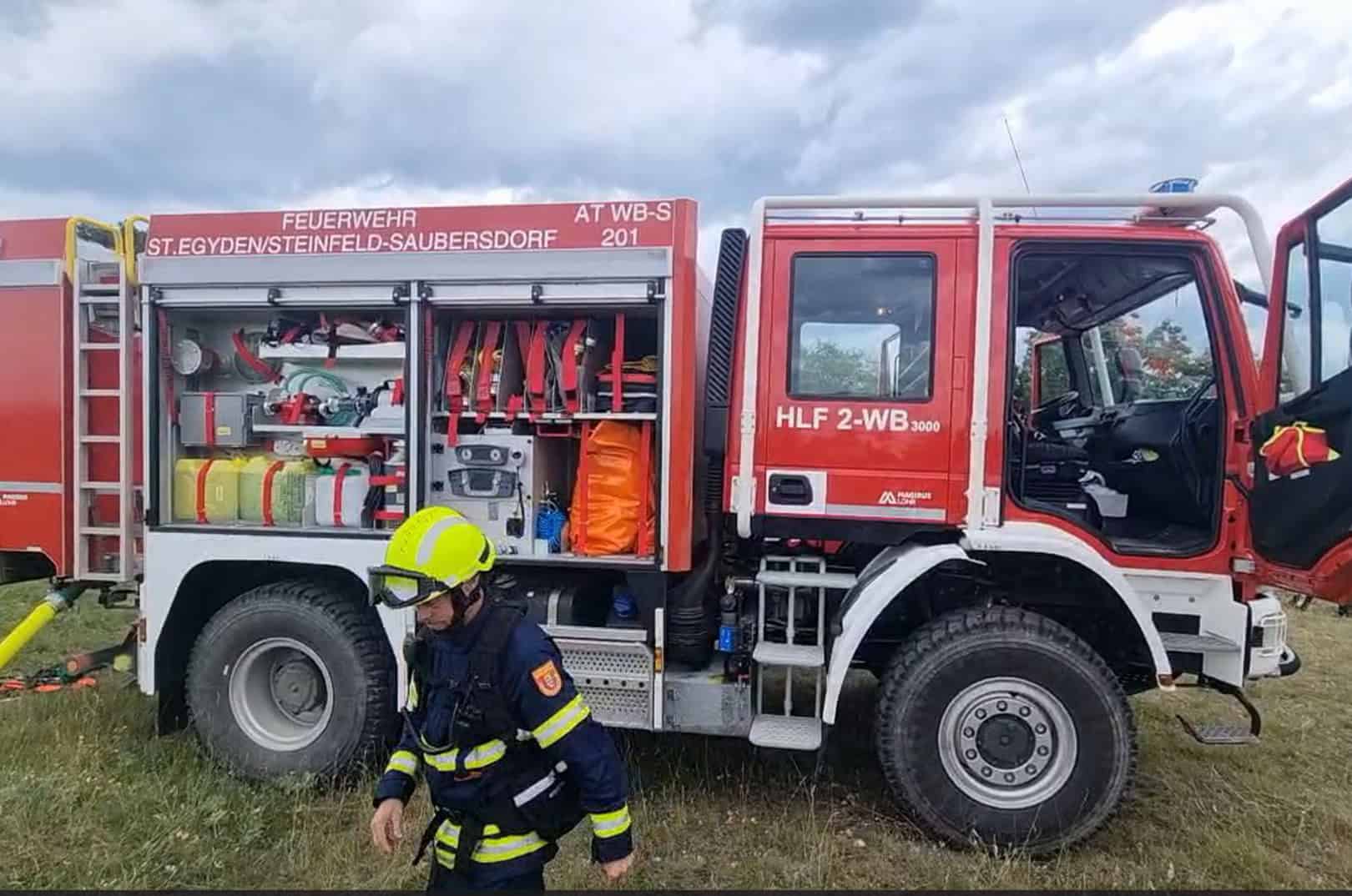 waldgeschichten-pilzesammeln-tipps