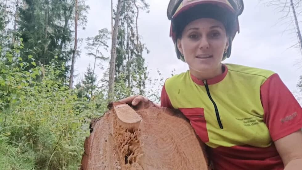 waldgeschichten-video-viktoria-erklaert-holzverwendung-fuer-wirtschaftsgebaeude