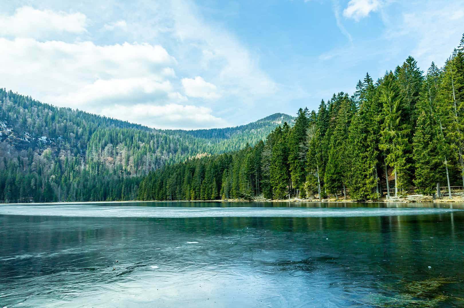 waldgeschichten-boehmerwald-c-AdobeStock-593276463-Oliver-Hlavaty