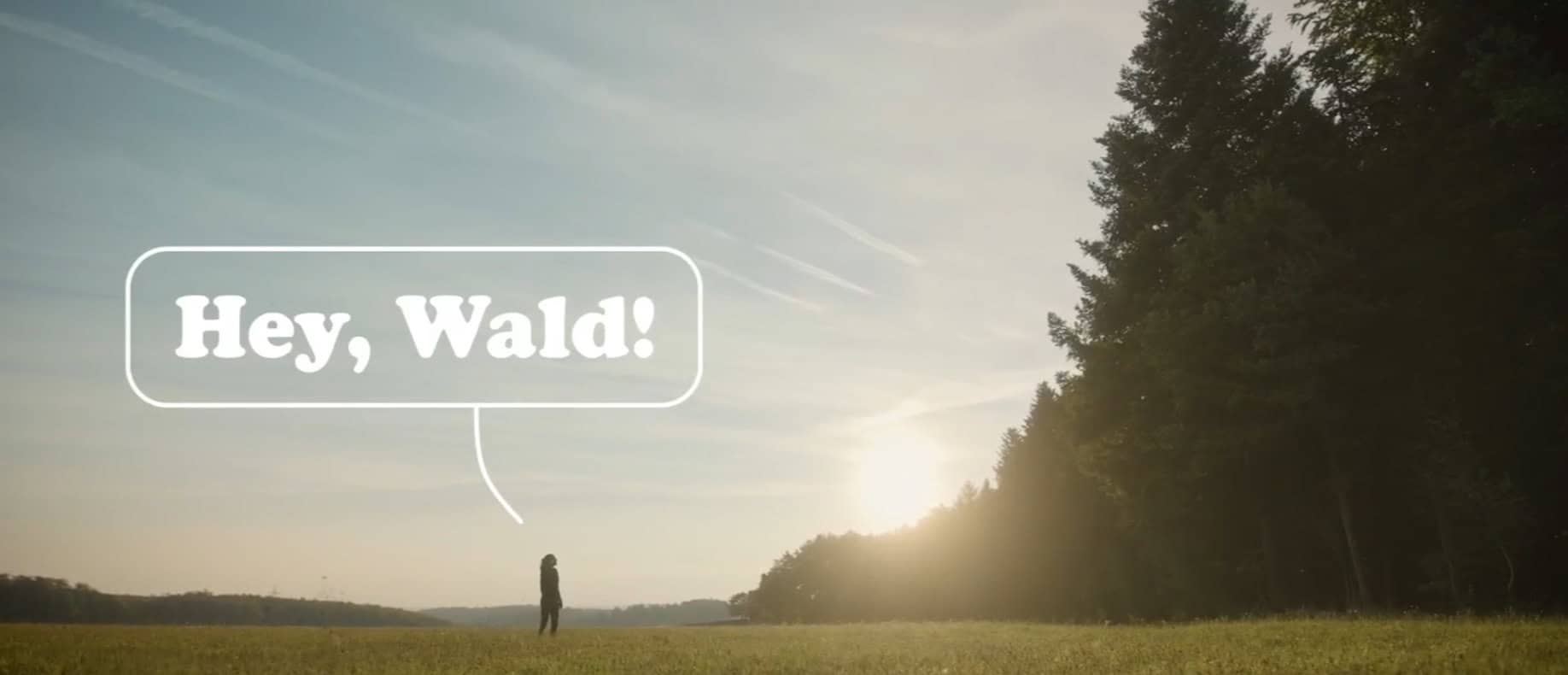 hey-wald-c-proholz