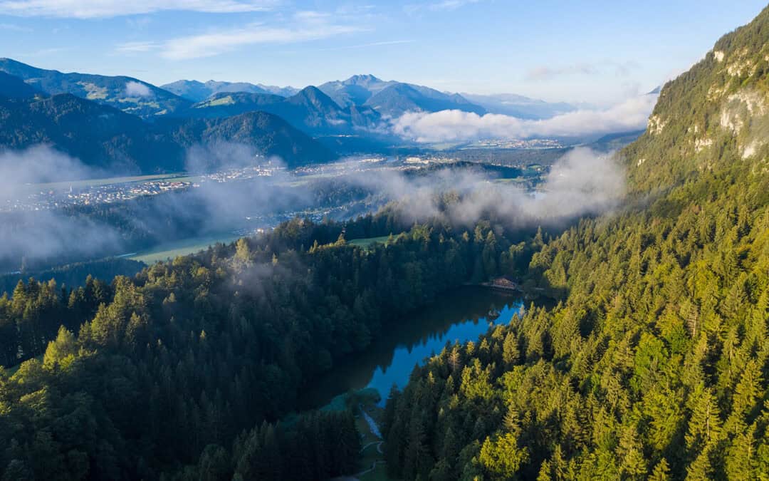 Wälder als Schlüsselakteure