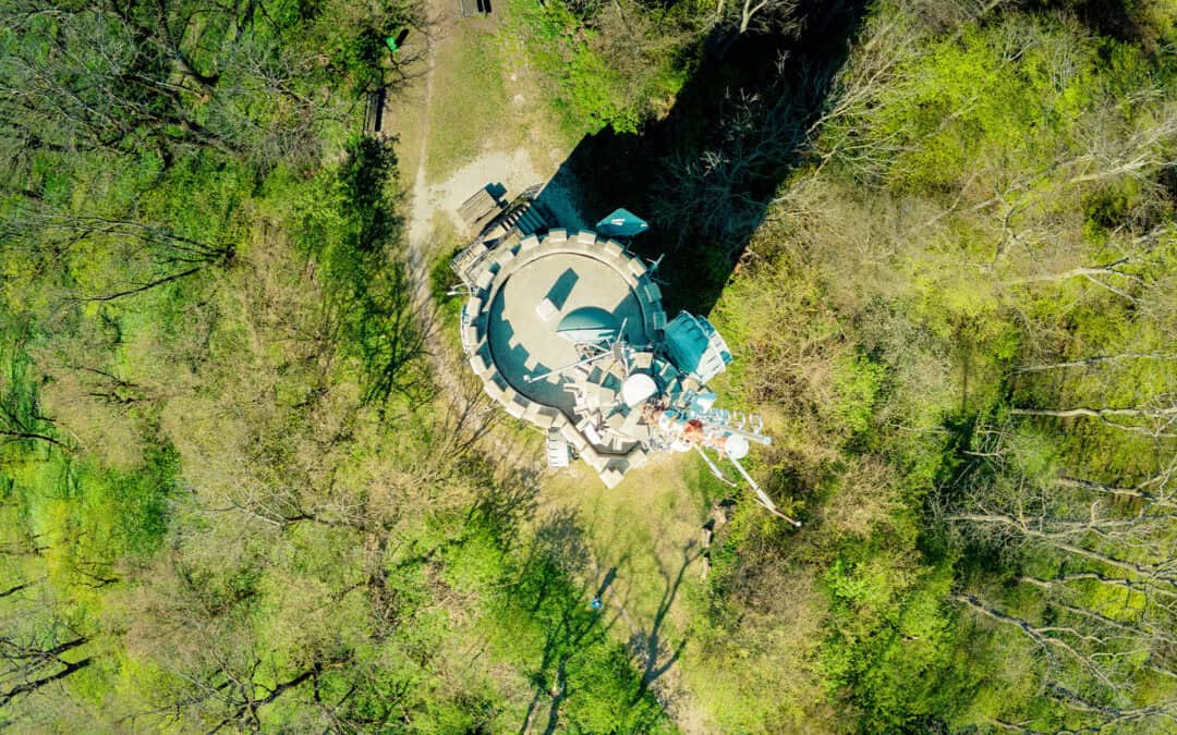 Wienerwald: Wiens grüne Oase und Schutzgebiet voller Vielfalt