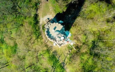 Wienerwald: Wiens grüne Oase und Schutzgebiet voller Vielfalt