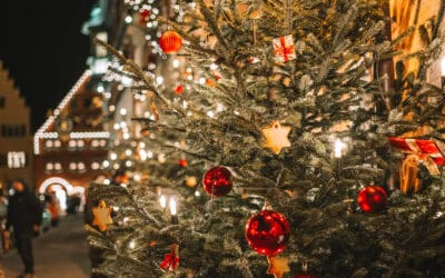 waldgeschichten-christbaeume-aus-oesterreich-foto-stimmungsvoll-geschmueckter-weihnachtsbaum