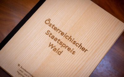 Staatspreis „Wald 2024“ für Vorbilder der nachhaltigen Waldbewirtschaftung